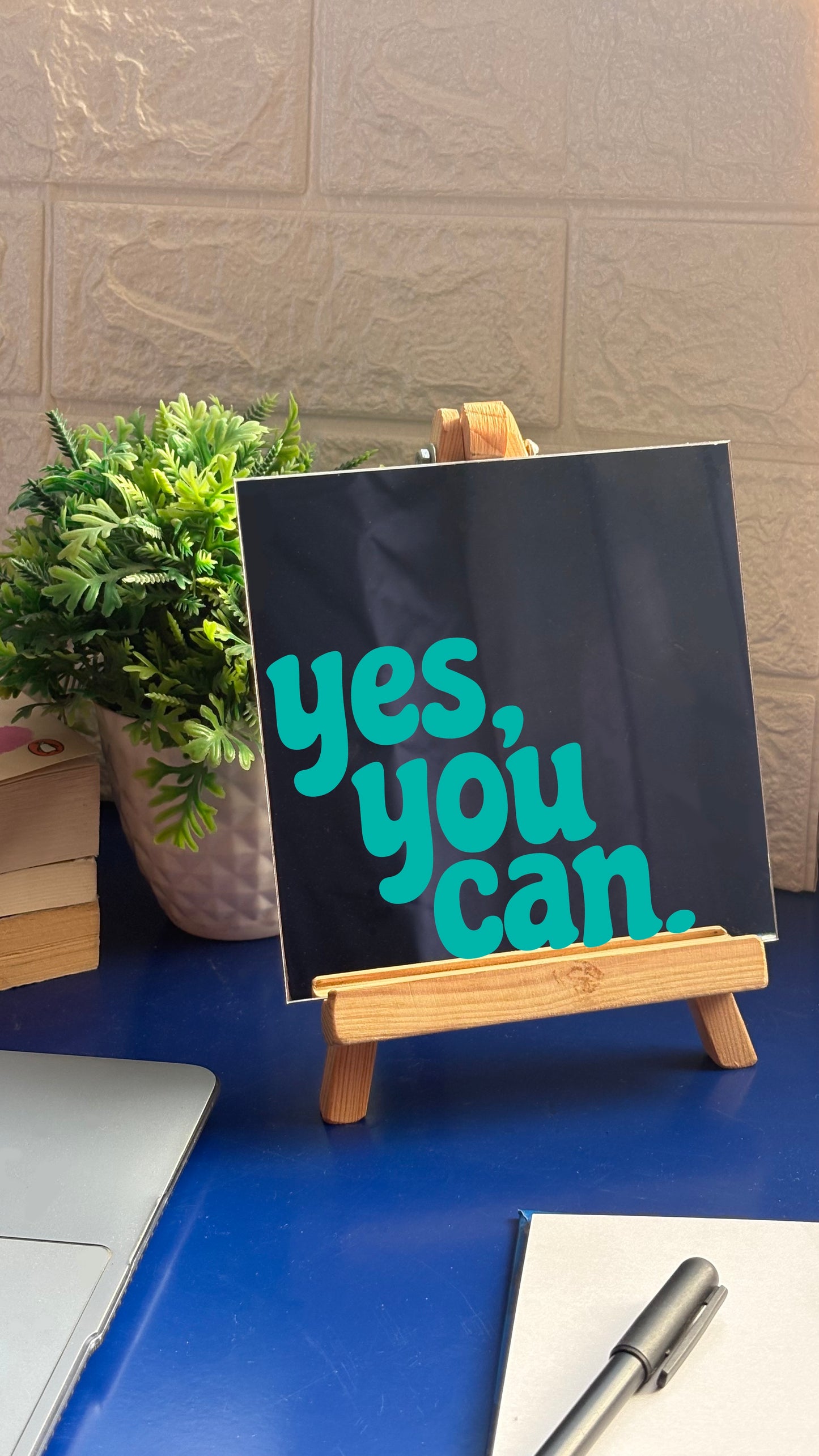 Yes You Can Mirror