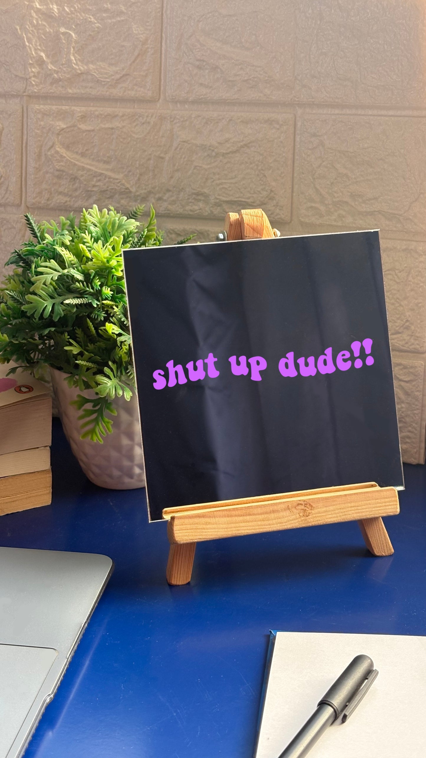 Shut Up Dude!! Mirror