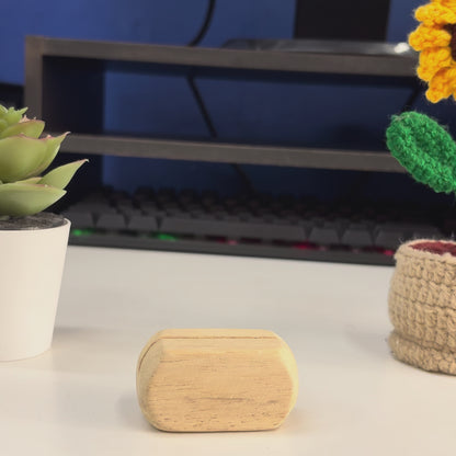 Stay Wild Desk Standee